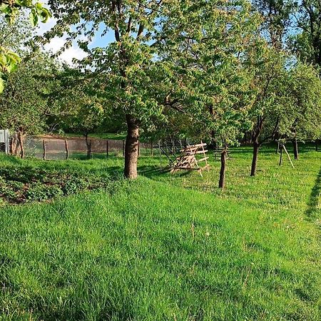 Casa De Vacanta Alina Prundul Birgaului Екстериор снимка