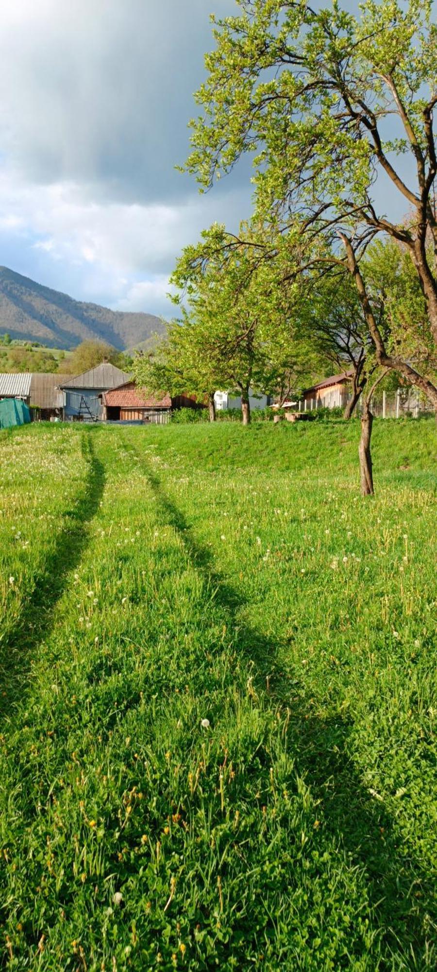 Casa De Vacanta Alina Prundul Birgaului Екстериор снимка