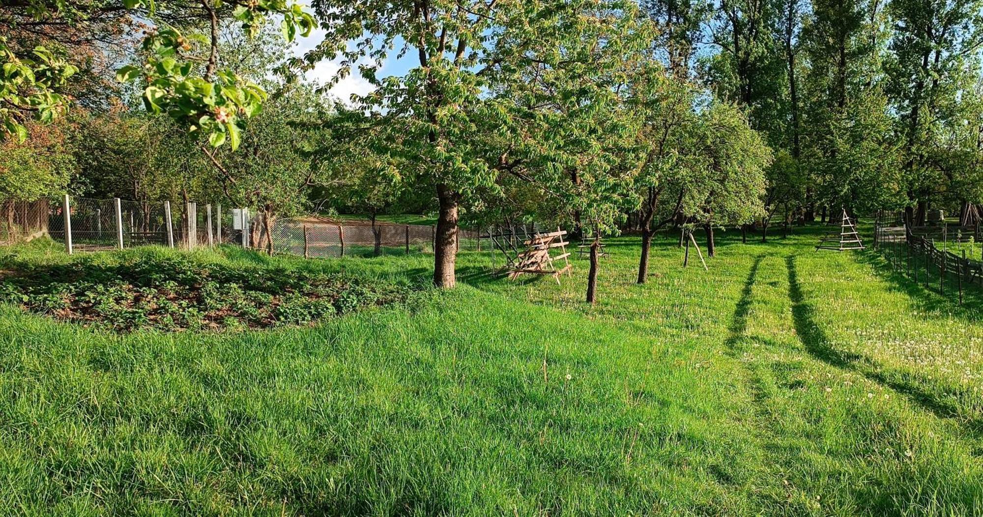 Casa De Vacanta Alina Prundul Birgaului Екстериор снимка